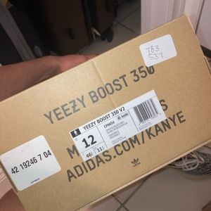 Yzy zebra